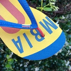 Havaianas | Shoes | Havaianas Unisex Team Iii Columbia  display picture 1